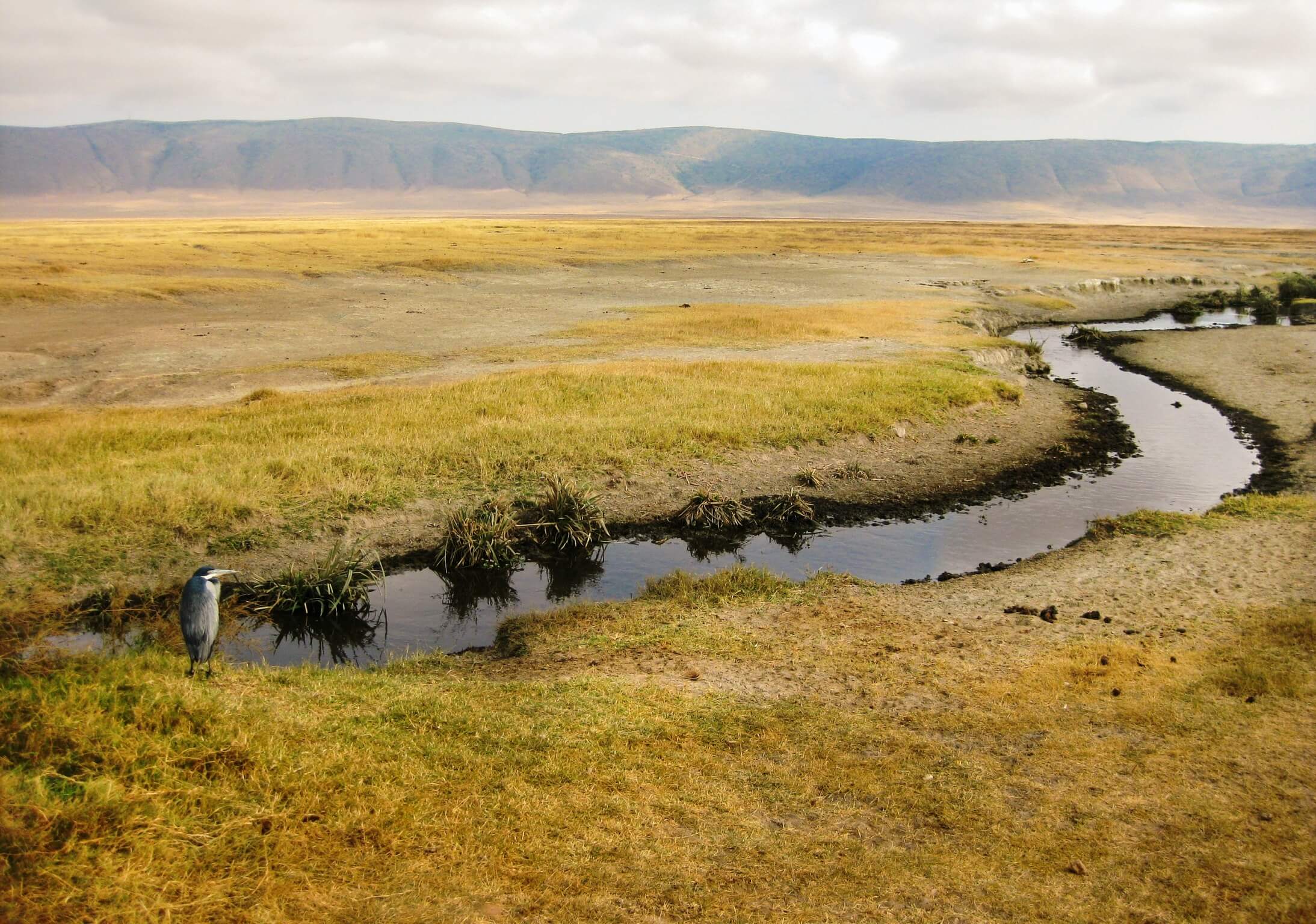 Small windy river