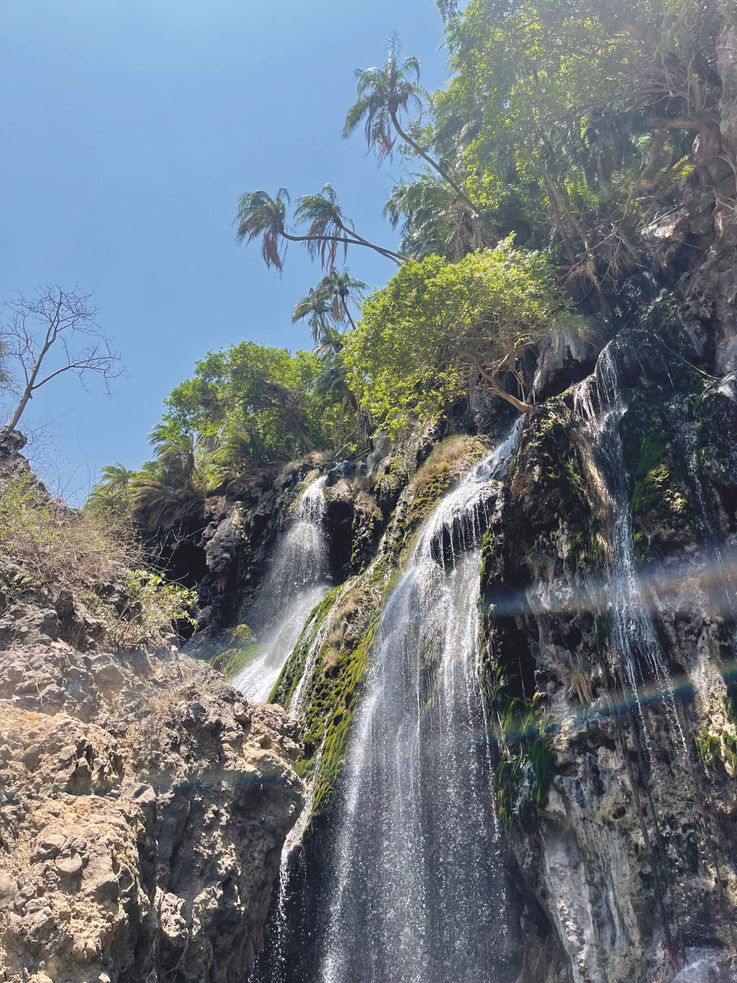 desert oasis at waterfall